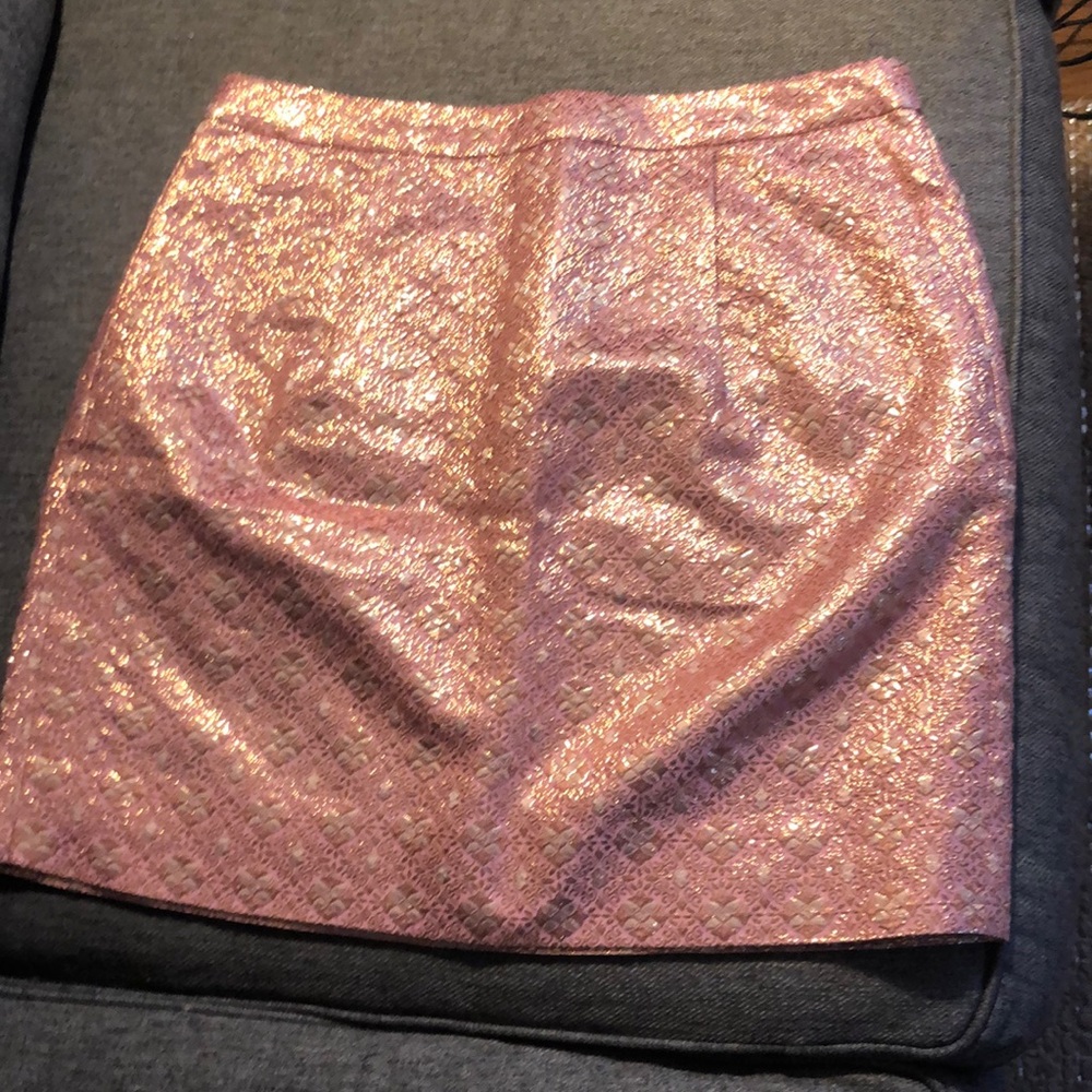 J Crew Mini Skirt